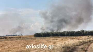 Φωτιά τώρα στον Βαθύλακκο Θεσσαλονίκης, σηκώθηκαν τρία εναέρια
