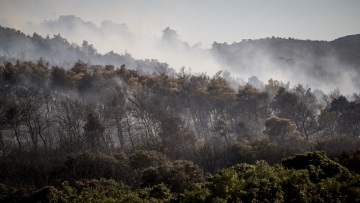 Meteo: Η φωτιά στην Οινόη δημιούργησε τον δικό της καιρό
