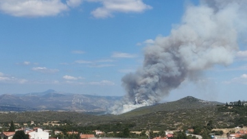 Μεγάλη φωτιά στην Οινόη του Δήμου Μάνδρας: Στάλθηκε 112, επιχειρούν 140 πυροσβέστες και 12 εναέρια μέσα, δείτε βίντεο
