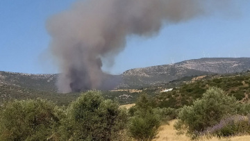 Φωτιά τώρα στην Αγία Ελένη Τροιζηνίας: Μήνυμα 112 για εκκένωση προς Άνω Φανάρι, δείτε βίντεο
