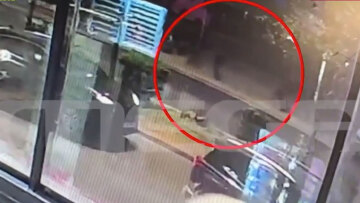 Πώς έγινε η αιματηρή καταδίωξη του 20χρονου στο Άργος: Νοσηλεύεται σε εξαιρετικά κρίσιμη κατάσταση μετά από πυροβολισμό στο κεφάλι, δείτε βίντεο 
