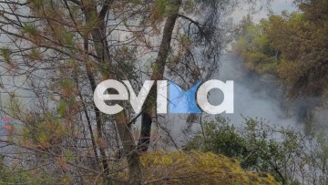 Φωτιά σε δασική έκταση στην Εύβοια, πιθανότατα προκλήθηκε μετά από πτώση κεραυνού 
