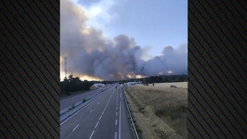 Μεγάλη πυρκαγιά απειλεί το Παρίσι, στις φλόγες το δάσος του Φοντενεμπλό, βίντεο