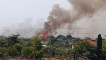 Φωτιά στη Σουρωτή Θεσσαλονίκης: 112 για εκκένωση, 7 εναέρια στη μάχη
