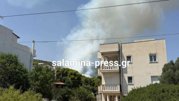 Οριοθετήθηκε η φωτιά στα Σελίνια Σαλαμίνας