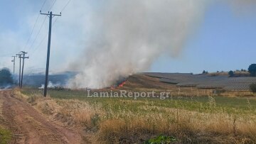 Φωτιά στο Παλαιοχώρι Φθιώτιδας, επιχειρούν έξι εναέρια μέσα, δείτε βίντεο και φωτογραφίες
