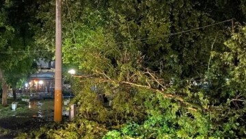 Πτώσεις δέντρων και πλημμυρισμένοι δρόμοι σε Δράμα και Κομοτηνή, 41 κλήσεις δέχθηκε η Πυροσβεστική
