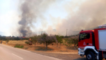 Πρόστιμα 1.289 ευρώ για φωτιές από αναμμένα τσιγάρα σε Σέρρες και Θεσπρωτία