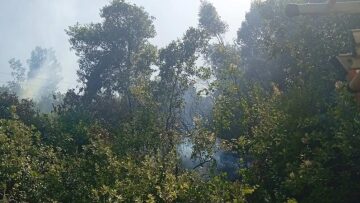 Φωτιά τώρα στο Άνω Κεράσοβο Αιτωλοακαρνανίας, σηκώθηκαν τέσσερα αεροσκάφη, δείτε βίντεο