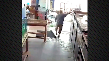 Τεράστιο ενυδρείο έσπασε σε petshop, νεκρά εκατοντάδες ψάρια - Δείτε βίντεο