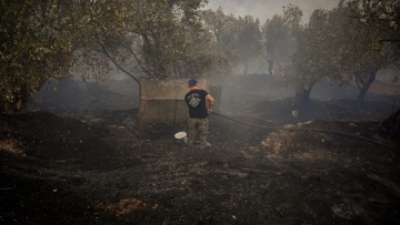 1.000 καμένα στρέμματα η πρώτη εκτίμηση από τη φωτιά στο Πλωμάρι, αγωνία για τις αναζωπυρώσεις