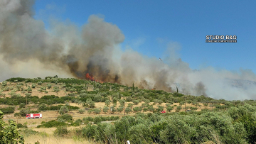Νέα φωτιά στην Αργολίδα, κοντά στις Μυκήνες - Οι φλόγες μπήκαν στο χωριό Ξηρονομή στη Βοιωτία, μπαράζ από μηνύματα του 112 για εκκενώσεις