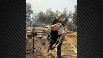 Αστυνομικός στη Βοιωτία έσωσε κατσικάκι μέσα από τις φλόγες