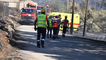 Εργαζόμενος του ΔΕΔΔΗΕ καταπλακώθηκε από κορμό δέντρου στην Αργολίδα κατά τη διάρκεια εργασιών αποκατάστασης του δικτύου