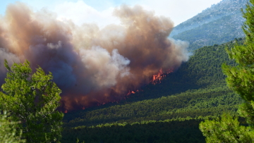 H συμπεριφορά της φωτιάς στη Βοιωτία ήταν κατά διαστήματα ακραία, λέει ο πυρομετεωρολόγος Θεόδωρος Γιάνναρος, τι έδειξαν τα δορυφορικά δεδομένα
