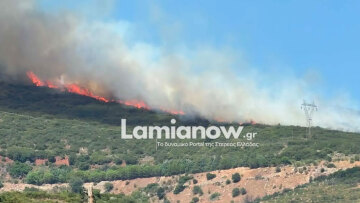 Φωτιά στην Καμηλόβρυση Λαμίας, εστάλη 112 για ετοιμότητα