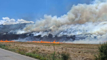 Φωτιά στη Κυρά Φαρσάλων στη Λάρισα: Σηκώθηκαν 4 εναέρια, δείτε φωτογραφίες και βίντεο 