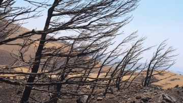 Στον εισαγγελέα σήμερα ο υπεύθυνος συντήρησης του ΔΕΔΔΗΕ για τη φωτιά στην Κρύα Βρύση Ρεθύμνου