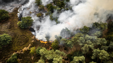Ολλανδία: Εκατοντάδες πυροσβέστες μάχονται με μεγάλη φωτιά που ξέσπασε χθες, έχουν καεί τουλάχιστον 1.000 στρέμματα