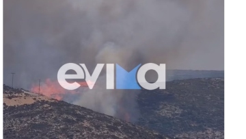 Φωτιά στην Κολυμπάδα Σκύρου, επιχειρούν 4 αεροσκάφη 