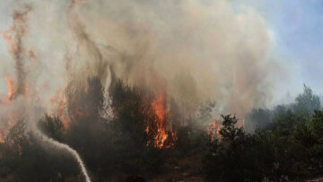 Φωτιά τώρα στην Ελάτεια Φθιώτιδας, ήχησε το 112 για ετοιμότητα