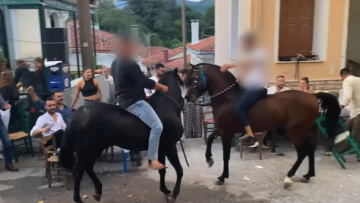 Άλογα χορεύουν πάνω σε σπασμένα μπουκάλια στη Λέσβο - A Promise to Animals: «Όταν η κριτική σε ένα έθιμο θεωρείται επίθεση σε έναν τόπο»
