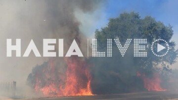 Φωτιά τώρα σε Γαστούνη και Κοττέικα Ηλείας, επιχειρούν ισχυρές δυνάμεις της Πυροσβεστικής
