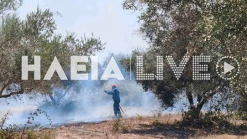 Φωτιά στο Χάβαρι Ηλείας, σηκώθηκαν 5 αεροσκάφη