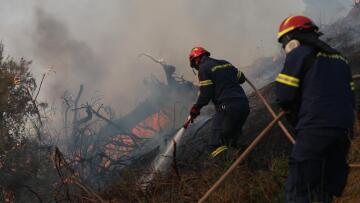 Συνελήφθη 80χρονος στην Καβάλα για εμπρησμό από πρόθεση, ομολόγησε και οδηγείται στον εισαγγελέα 
