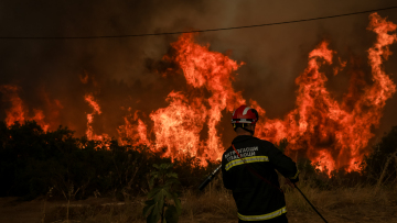 Πυροσβεστική: 53 πυρκαγιές εκδηλώθηκαν το τελευταίο 24ωρο, τέσσερις συλλήψεις σε Μυτιλήνη, Πάτρα και Κάλαμο