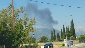 Φωτιά σε γεωργική έκταση στην Τροιζήνα