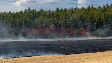 Φωτιά στη Θήβα: Σηκώθηκαν 3 εναέρια, δείτε βίντεο 