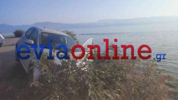 Νεαρός στην Εύβοια έπεσε σε γκρεμό 15 μέτρων μετά από τροχαίο, δείτε βίντεο από το σημείο