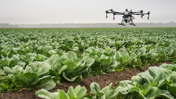 Η ΕΕ εξετάζει τη χρήση drones για την καταπολέμηση των παρασίτων στη γεωργία