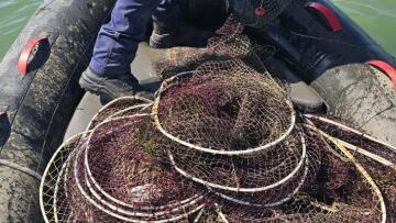 Εντοπίστηκαν και κατασχέθηκαν 96 ιχθυοπαγίδες στον Θερμαϊκό Κόλπο