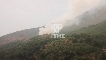 Φωτιά σε δασική έκταση στη Χίο: Ήχησε το 112 στο Βίκι, επιχειρούν πέντε εναέρια μέσα