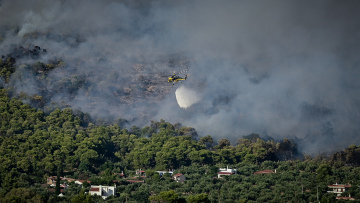 Φωτιά σε χαμηλή βλάστηση στο Διμήνιο Κορινθίας
