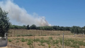 Φωτιά τώρα στο Βαρθολομιό Ηλείας, σηκώθηκε ένα ελικότπερο
