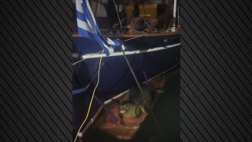 Φώκια ξαποσταίνει στη πλώρη σκάφους στα Καμένα βούρλα, δείτε βίντεο