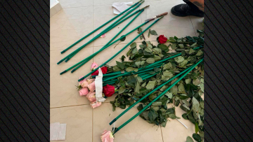Κοκαΐνη 84 κιλών εντοπίστηκε κρυμμένη σε τριαντάφυλλα, η επιχείρηση της ΑΑΔΕ σε Αρτέμιδα και Μαραθώνα