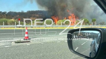 Φωτιά τώρα στο Στρυμωνικό Σερρών, σηκώθηκαν δύο εναέρια