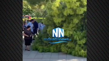 Τρεις τραυματίες μετά από πτώση μεγάλου κλαδιού έξω από εκκλησία στον Λυγιά Ναυπάκτου, δείτε βίντεο