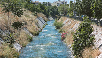 Στοιχεία σοκ για το οικολογικό έγκλημα στον Κηφισό: Έλλειψη οξυγόνου αφανίζει τα ψάρια 