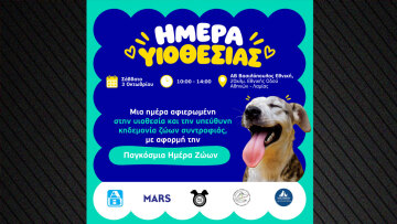 Μια ημέρα αφιερωμένη στην υιοθεσία ζώων συντροφιάς από τη Mars, την ΑΒ Βασιλόπουλος και τη Dogs’ Voice
