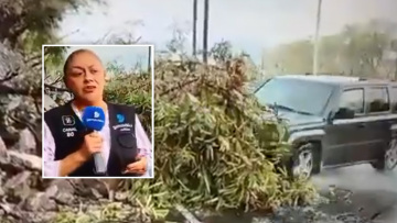 Σκηνές τρόμου σε live τηλεοπτική μετάδοση στο Μεξικό με αυτοκίνητο να παρασύρει δημοσιογράφο, δείτε βίντεο 