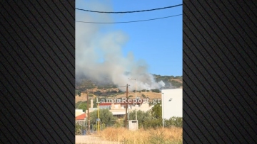 Φωτιά τώρα στη Λαμία: Επιχειρούν δύο αεροσκάφη και ένα ελικόπτερο