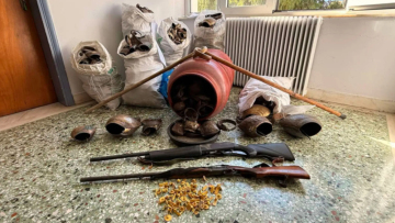 Πάνω από 320 αιγοπρόβατα και 692 κουδούνια έκλεψε συμμορία στο Λασίθι,  5 συλλήψεις