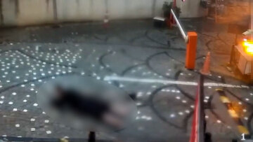 Σοκαριστικό βίντεο: Η στιγμή που 14χρονος πατάει σε λακούβα με νερό και παθαίνει ηλεκτροπληξία στην Κωνσταντινούπολη
