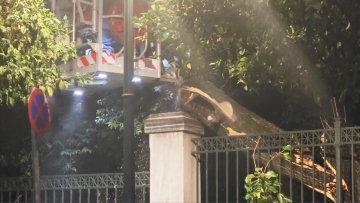 Έπεσε μεγάλο δέντρο κοντά στο Μέγαρο Μαξίμου, δείτε βίντεο από το σημείο