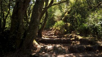 
Η πράσινη όαση της Πορτογαλίας που αλλάζει τον τουρισμό ευεξίας